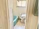 A full bath with a blue tub and white toilet at 628 Massey Ave, Durham, NC 27701