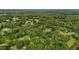 A vast expanse of lush greenery from an aerial perspective, dotted with houses, showing the property's expansive setting at 1052 Hughes Trl, Elon, NC 27244