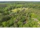 A sprawling landscape featuring several houses nestled among dense trees and verdant greenery at 118 Cavendish Ct, Hillsborough, NC 27278