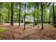 View of the house nestled in the trees and showcasing the natural backyard, offering a tranquil outdoor space at 118 Cavendish Ct, Hillsborough, NC 27278