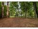 Secluded backyard offering a serene escape, surrounded by trees and nature at 118 Cavendish Ct, Hillsborough, NC 27278