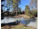 Scenic view of a frozen pond with a wooded area in the background, creating a serene environment at 119 Brookberry Cir, Chapel Hill, NC 27517