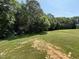 Large backyard with green grass and mature trees at 322 Busterfield Ct, Benson, NC 27504