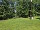 Lush green backyard, offering ample space, backing to wooded privacy at 3510 Rawdon Dr, Durham, NC 27713