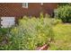 Small garden bed with blue and yellow flowers near the brick foundation of the house at 108 Cedarwood Dr, Louisburg, NC 27549