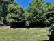 Spacious backyard with lush green grass and mature trees, great for outdoor activities at 114 Constitution Dr, Durham, NC 27705
