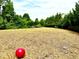 Thompson Ridge bark park area with play structures and a red ball for furry friends at 114 Constitution Dr, Durham, NC 27705