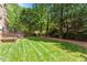 Manicured backyard featuring an expansive lawn and privacy provided by mature trees and landscaping at 117 Arborhill Ln, Holly Springs, NC 27540