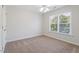 Bright bedroom featuring plush carpeting, a ceiling fan, and a large window with natural light at 117 Arborhill Ln, Holly Springs, NC 27540