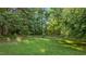 Lush backyard featuring well-maintained grass and mature trees for privacy and shade at 118 Brandi Dr, Rolesville, NC 27571