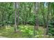 Lush, green backyard with mature trees and a privacy fence, creating a serene outdoor space at 123 W Camden Forest Dr, Cary, NC 27518