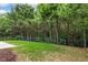 Beautiful backyard featuring a well maintained lawn, bordering trees and a sleek black fence at 213 Florence Dr, Clayton, NC 27527