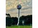 View of a water tower painted like a baseball featuring the Zebulon town name in a lush green area at 30 Sunbury Ct, Zebulon, NC 27597