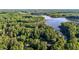 An aerial view of a densely forested area along a lake with houses interspersed at 4701 Governor Hunt St, Efland, NC 27243