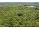 Expansive aerial view of dense green forest with some buildings and open space visible in the distance at 560 Parker Creek Rd, Holly Springs, NC 27540