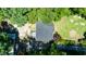 Aerial view of home, showcasing backyard and surrounding trees at 856 Williams White Rd, Zebulon, NC 27597