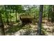 Outdoor shed made of wood nestled among many trees in the backyard of the property at 856 Williams White Rd, Zebulon, NC 27597