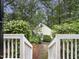 Charming exterior view of house surrounded by lush trees and plants and featuring a stone walkway at 9417 Greenfield Dr, Raleigh, NC 27615