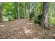 Secluded backyard surrounded by mature trees and natural foliage, offering privacy and tranquility at 203 Old Forest Creek Dr, Chapel Hill, NC 27514