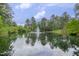 Community pond with a fountain surrounded by lush greenery, creating a serene environment at 208 Bridle Boast Rd, Cary, NC 27519
