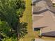 Backyard view showing how the lot sits in the neighborhood; lush foliage provides privacy at 211 Ibis Ln, Durham, NC 27703