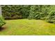 Spacious, grassy backyard surrounded by lush trees and greenery at 4144 Fairport Rd, Kittrell, NC 27544