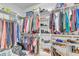 Well-organized walk-in closet featuring shelving and hanging rods for ample clothing and shoe storage at 736 Varina Ln, Fuquay Varina, NC 27526