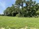 Open lawn area with mature trees, blue skies and green grass at 81 Coharie Dr, Lillington, NC 27546