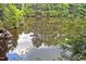Picturesque view of the pond reflecting the lush trees surrounding the water at 850 N Langdon, Pittsboro, NC 27312