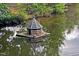 Charming turtle house sits on the pond, providing a safe and cozy habitat at 850 N Langdon, Pittsboro, NC 27312