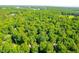 Expansive aerial view of the property showcasing its peaceful, wooded setting at 114 Bonaparte Dr, Hillsborough, NC 27278