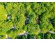 Overhead view of the property surrounded by a dense canopy of mature trees at 114 Bonaparte Dr, Hillsborough, NC 27278