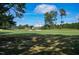 Scenic view of the golf course, with its verdant fairways, sand traps, and lush landscaping on a clear day at 1217 Briar Patch Ln, Raleigh, NC 27615
