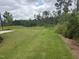 Expansive backyard featuring lush green grass, perfect for outdoor activities and enjoying nature at 136 Ashlar Ct, Cary, NC 27519