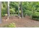 Serene backyard scene with mature trees, natural accents, and a peaceful, private setting at 201 Village Dr, Knightdale, NC 27545