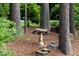 Ornate birdbath surrounded by mature trees and natural landscaping, creating a tranquil outdoor space at 201 Village Dr, Knightdale, NC 27545