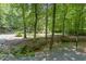 Lush backyard bordered by woods with creek at 2805 Evans St, Durham, NC 27705