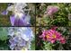 Lovely garden with flowers in full bloom at 2805 Evans St, Durham, NC 27705