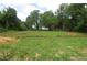 Expansive backyard with untamed vegetation and a backdrop of lush, dense trees and foliage at 4109 Stonewall Dr, Raleigh, NC 27604