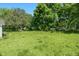 Lush backyard with mature trees and greenery, offering a private and natural setting at 441 Cedar St, Henderson, NC 27536