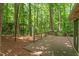 View of a wooden deck with lots of surrounding trees at 5125 Penny Rd, Raleigh, NC 27606