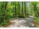 View of an expansive paved driveway lined with mature trees leading up to the home in a lush, green setting at 5125 Penny Rd, Raleigh, NC 27606