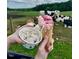 Delicious ice cream and waffle cone being held with grazing cows in the background at 5125 Penny Rd, Raleigh, NC 27606