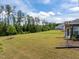 Large grassy backyard with small tree, perfect for outdoor activities and relaxation at 601 Lauren Ann Dr, Apex, NC 27523