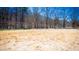 Outdoor volleyball court with nets, perfect for recreational activities and community fun in the sun at 800 Pritchard Avenue Ext # H4, Chapel Hill, NC 27516