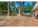 Backyard featuring towering trees, a homemade swing set, a brick house and a spacious lawn at 903 W Maynard Ave, Durham, NC 27704