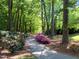 Scenic walking path surrounded by mature trees and colorful azaleas in a tranquil community setting at 107 Long Shadow Ln, Cary, NC 27518