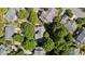 Overhead view of the residential neighborhood surrounded by mature trees at 11013 Louson Pl, Raleigh, NC 27614