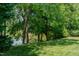 Lush backyard featuring mature trees, a hammock, and serene lake views at 114 Fieldstone Dr, Burlington, NC 27215