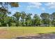Expansive front yard with lush grass and mature trees, offering a serene and private setting at 155 G Herring Rd, Princeton, NC 27569